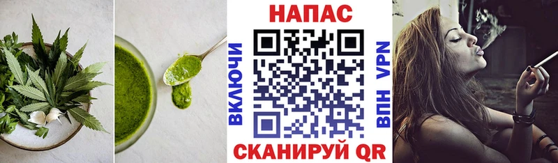 Canna-Cookies марихуана  дарнет шоп  Мосальск 