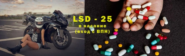 крисы Корсаков