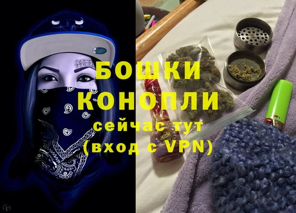 стаф Коряжма