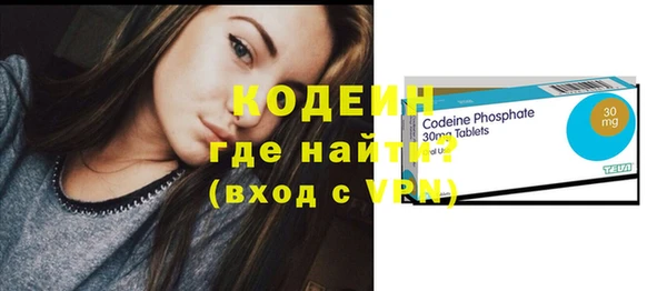 крисы Корсаков