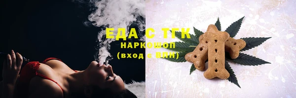 крисы Корсаков