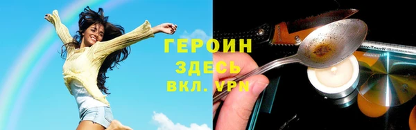 крисы Корсаков