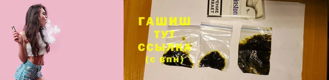 стаф Коряжма