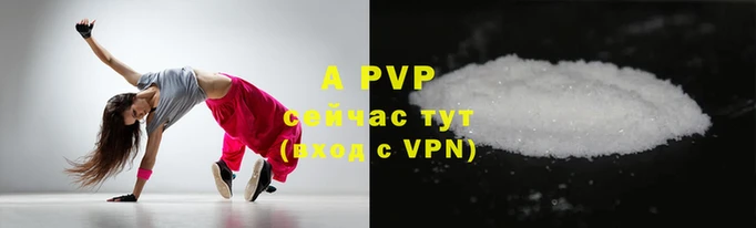 стаф Коряжма