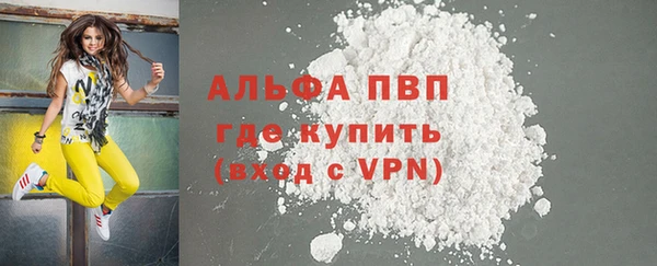 стаф Коряжма