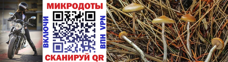 Псилоцибиновые грибы мухоморы  где продают наркотики  ОМГ ОМГ ссылка  Мосальск 